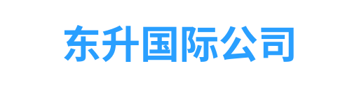 东升国际
